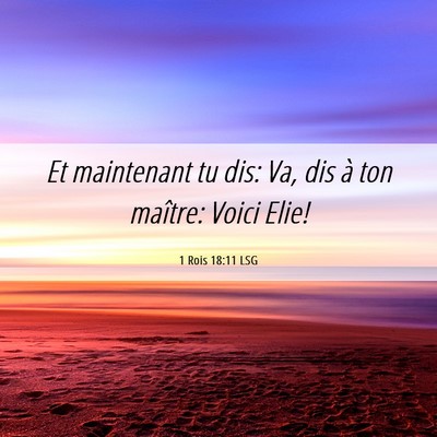 Picture 06 - 1 Rois 18:11 LSG - Et maintenant tu dis: Va, dis à ton maître: - Bible Verse Picture