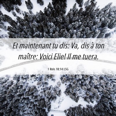 Picture 06 - 1 Rois 18:14 LSG - Et maintenant tu dis: Va, dis à ton maître: - Bible Verse Picture