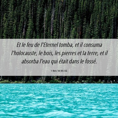 Picture 06 - 1 Rois 18:38 LSG - Et le feu de l'Eternel tomba, et il consuma - Bible Verse Picture