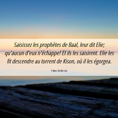 Picture 06 - 1 Rois 18:40 LSG - Saisissez les prophètes de Baal, leur dit Elie; - Bible Verse Picture