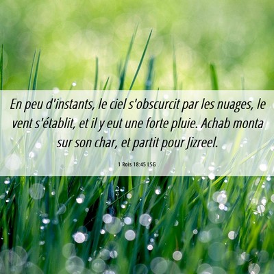 Picture 06 - 1 Rois 18:45 LSG - En peu d'instants, le ciel s'obscurcit par les - Bible Verse Picture
