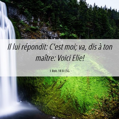 Picture 06 - 1 Rois 18:8 LSG - Il lui répondit: C'est moi; va, dis à ton - Bible Verse Picture
