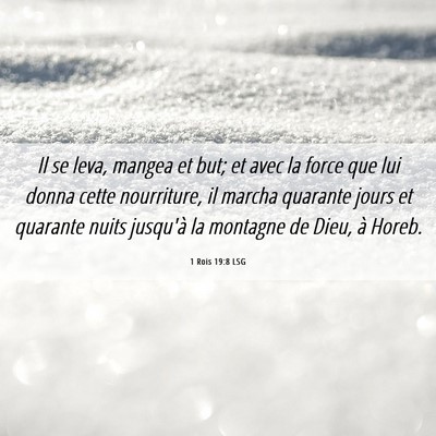 Picture 06 - 1 Rois 19:8 LSG - Il se leva, mangea et but; et avec la force que - Bible Verse Picture