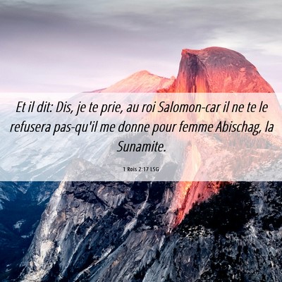 Picture 06 - 1 Rois 2:17 LSG - Et il dit: Dis, je te prie, au roi Salomon-car il - Bible Verse Picture