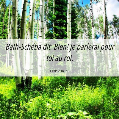 Picture 06 - 1 Rois 2:18 LSG - Bath-Schéba dit: Bien! je parlerai pour toi au - Bible Verse Picture