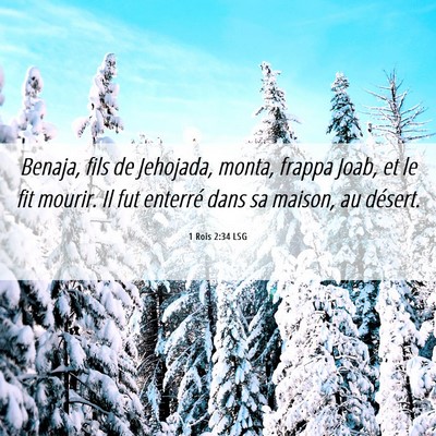 Picture 06 - 1 Rois 2:34 LSG - Benaja, fils de Jehojada, monta, frappa Joab, et - Bible Verse Picture