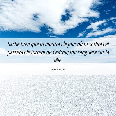 Picture 06 - 1 Rois 2:37 LSG - Sache bien que tu mourras le jour où tu sortiras - Bible Verse Picture