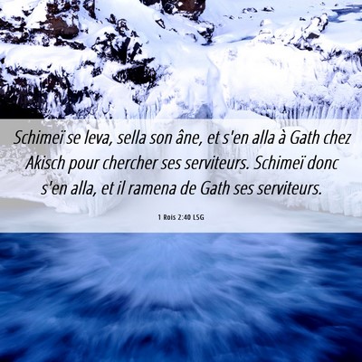 Picture 06 - 1 Rois 2:40 LSG - Schimeï se leva, sella son âne, et s'en alla à - Bible Verse Picture
