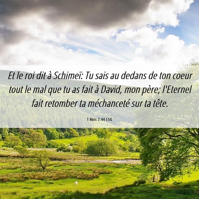 Picture 06 - 1 Rois 2:44 LSG - Et le roi dit à Schimeï: Tu sais au dedans de - Bible Verse Picture