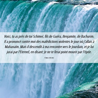 Picture 06 - 1 Rois 2:8 LSG - Voici, tu as près de toi Schimeï, fils de - Bible Verse Picture