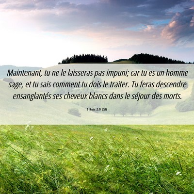 Picture 06 - 1 Rois 2:9 LSG - Maintenant, tu ne le laisseras pas impuni; car tu - Bible Verse Picture