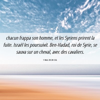 Picture 06 - 1 Rois 20:20 LSG - chacun frappa son homme, et les Syriens prirent - Bible Verse Picture