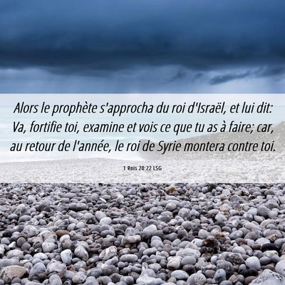Picture 06 - 1 Rois 20:22 LSG - Alors le prophète s'approcha du roi d'Israël, - Bible Verse Picture