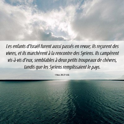 Picture 06 - 1 Rois 20:27 LSG - Les enfants d'Israël furent aussi passés en - Bible Verse Picture