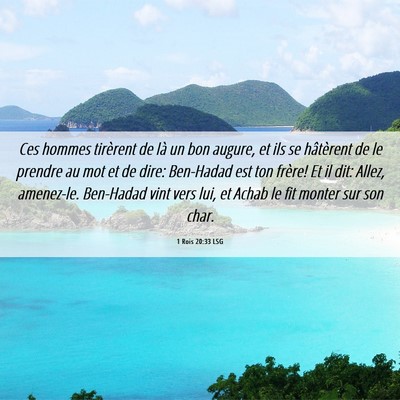 Picture 06 - 1 Rois 20:33 LSG - Ces hommes tirèrent de là un bon augure, et ils - Bible Verse Picture