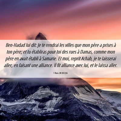 Picture 06 - 1 Rois 20:34 LSG - Ben-Hadad lui dit: Je te rendrai les villes que - Bible Verse Picture