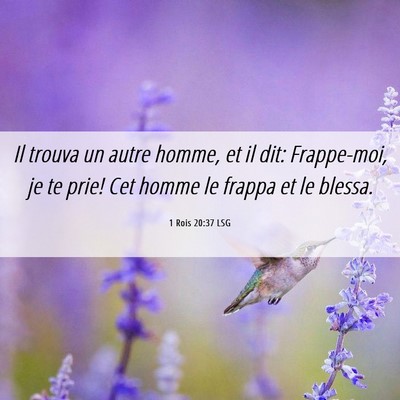 Picture 06 - 1 Rois 20:37 LSG - Il trouva un autre homme, et il dit: Frappe-moi, - Bible Verse Picture