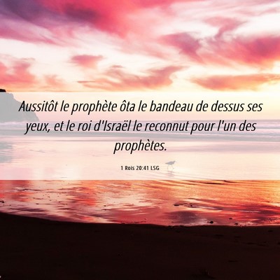 Picture 06 - 1 Rois 20:41 LSG - Aussitôt le prophète ôta le bandeau de dessus - Bible Verse Picture