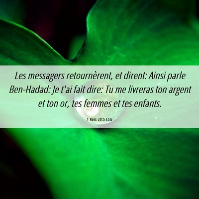 Picture 06 - 1 Rois 20:5 LSG - Les messagers retournèrent, et dirent: Ainsi - Bible Verse Picture