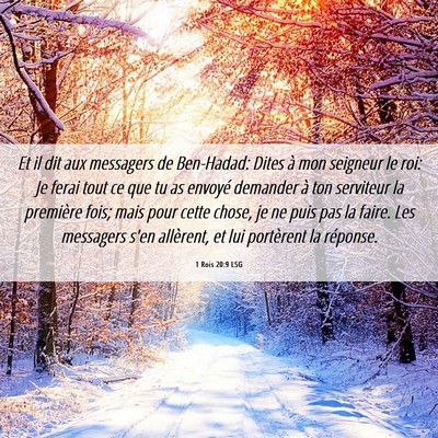 Picture 06 - 1 Rois 20:9 LSG - Et il dit aux messagers de Ben-Hadad: Dites à - Bible Verse Picture