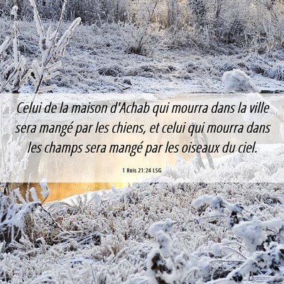 Picture 06 - 1 Rois 21:24 LSG - Celui de la maison d'Achab qui mourra dans la - Bible Verse Picture