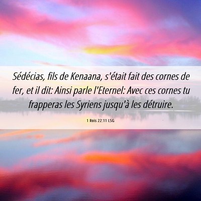 Picture 06 - 1 Rois 22:11 LSG - Sédécias, fils de Kenaana, s'était fait des - Bible Verse Picture
