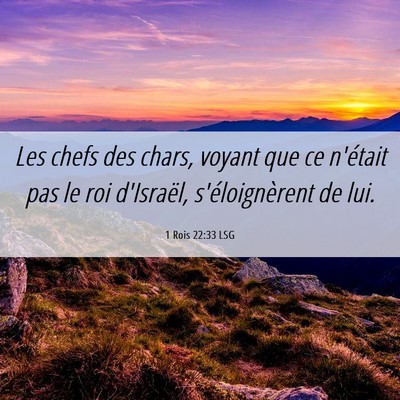 Picture 06 - 1 Rois 22:33 LSG - Les chefs des chars, voyant que ce n'était pas - Bible Verse Picture