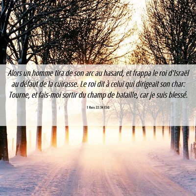 Picture 06 - 1 Rois 22:34 LSG - Alors un homme tira de son arc au hasard, et - Bible Verse Picture
