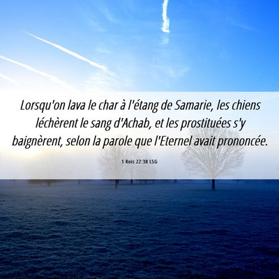 Picture 06 - 1 Rois 22:38 LSG - Lorsqu'on lava le char à l'étang de Samarie, - Bible Verse Picture