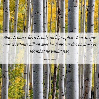 Picture 06 - 1 Rois 22:49 LSG - Alors Achazia, fils d'Achab, dit à Josaphat: - Bible Verse Picture