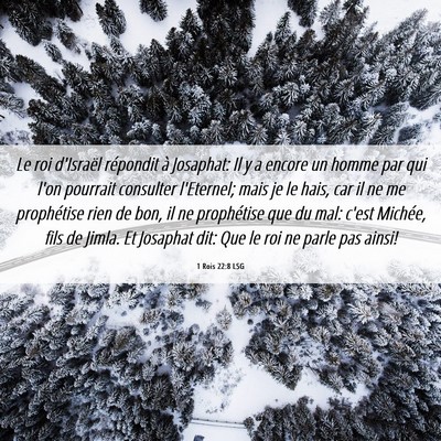Picture 06 - 1 Rois 22:8 LSG - Le roi d'Israël répondit à Josaphat: Il y a - Bible Verse Picture