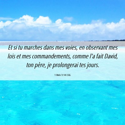 Picture 06 - 1 Rois 3:14 LSG - Et si tu marches dans mes voies, en observant mes - Bible Verse Picture