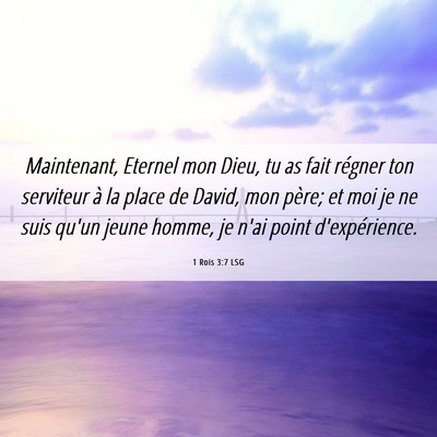 Picture 06 - 1 Rois 3:7 LSG - Maintenant, Eternel mon Dieu, tu as fait régner - Bible Verse Picture