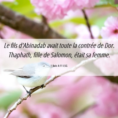 Picture 06 - 1 Rois 4:11 LSG - Le fils d'Abinadab avait toute la contrée de - Bible Verse Picture