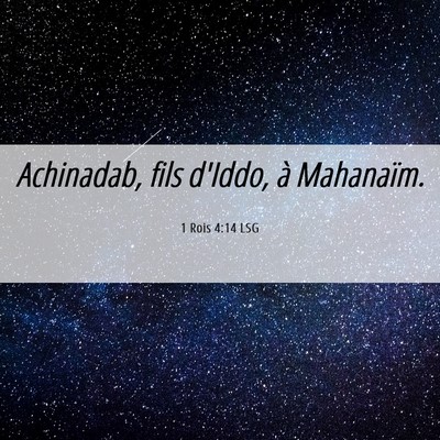 Picture 06 - 1 Rois 4:14 LSG - Achinadab, fils d'Iddo, à - Bible Verse Picture