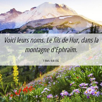 Picture 06 - 1 Rois 4:8 LSG - Voici leurs noms. Le fils de Hur, dans la - Bible Verse Picture