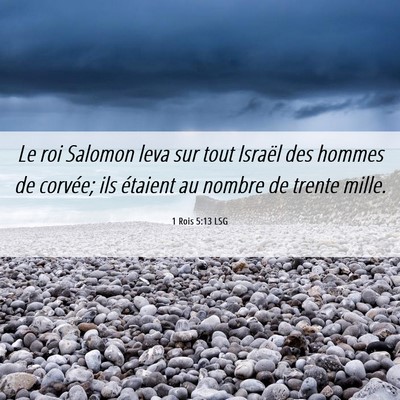 Picture 06 - 1 Rois 5:13 LSG - Le roi Salomon leva sur tout Israël des hommes - Bible Verse Picture
