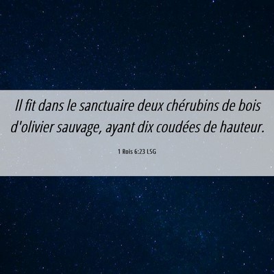 Picture 06 - 1 Rois 6:23 LSG - Il fit dans le sanctuaire deux chérubins de bois - Bible Verse Picture