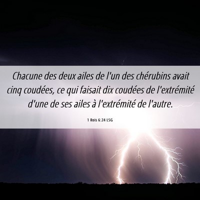Picture 06 - 1 Rois 6:24 LSG - Chacune des deux ailes de l'un des chérubins - Bible Verse Picture