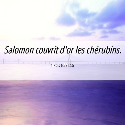 Picture 06 - 1 Rois 6:28 LSG - Salomon couvrit d'or les - Bible Verse Picture