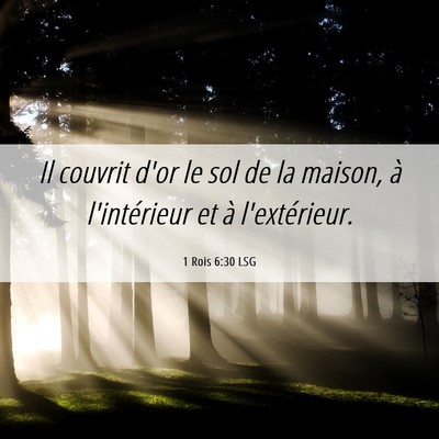 Picture 06 - 1 Rois 6:30 LSG - Il couvrit d'or le sol de la maison, à - Bible Verse Picture