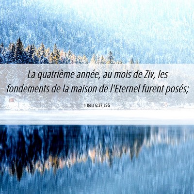 Picture 06 - 1 Rois 6:37 LSG - La quatrième année, au mois de Ziv, les - Bible Verse Picture