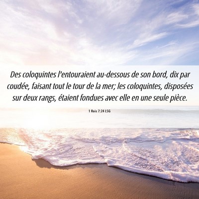 Picture 06 - 1 Rois 7:24 LSG - Des coloquintes l'entouraient au-dessous de son - Bible Verse Picture
