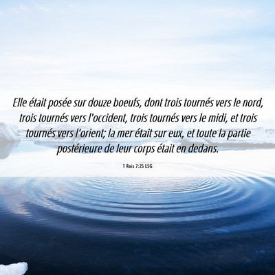 Picture 06 - 1 Rois 7:25 LSG - Elle était posée sur douze boeufs, dont trois - Bible Verse Picture