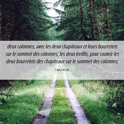 Picture 06 - 1 Rois 7:41 LSG - deux colonnes, avec les deux chapiteaux et leurs - Bible Verse Picture