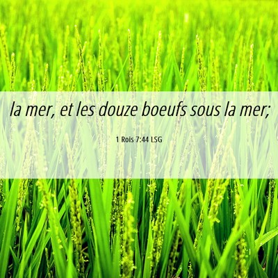 Picture 06 - 1 Rois 7:44 LSG - la mer, et les douze boeufs sous la - Bible Verse Picture