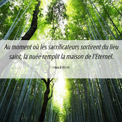 Picture 06 - 1 Rois 8:10 LSG - Au moment où les sacrificateurs sortirent du - Bible Verse Picture
