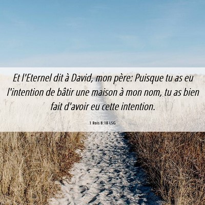 Picture 06 - 1 Rois 8:18 LSG - Et l'Eternel dit à David, mon père: Puisque tu - Bible Verse Picture
