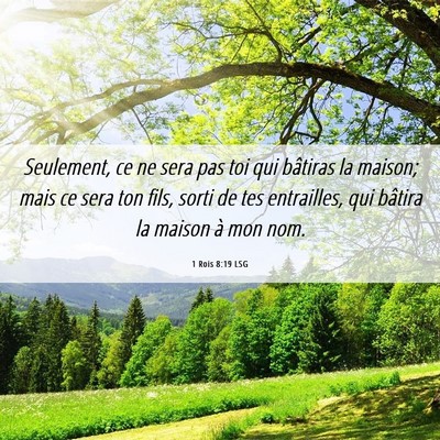 Picture 06 - 1 Rois 8:19 LSG - Seulement, ce ne sera pas toi qui bâtiras la - Bible Verse Picture