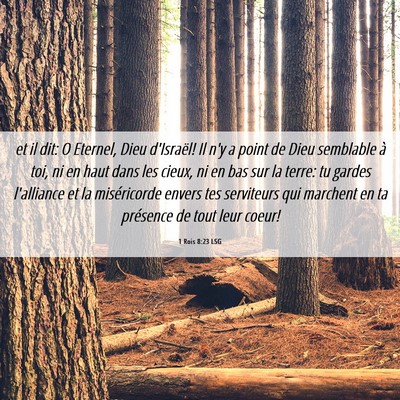Picture 06 - 1 Rois 8:23 LSG - et il dit: O Eternel, Dieu d'Israël! Il n'y a - Bible Verse Picture